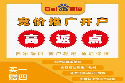 SEM竞价优化案例：品牌曝光与转化双提升